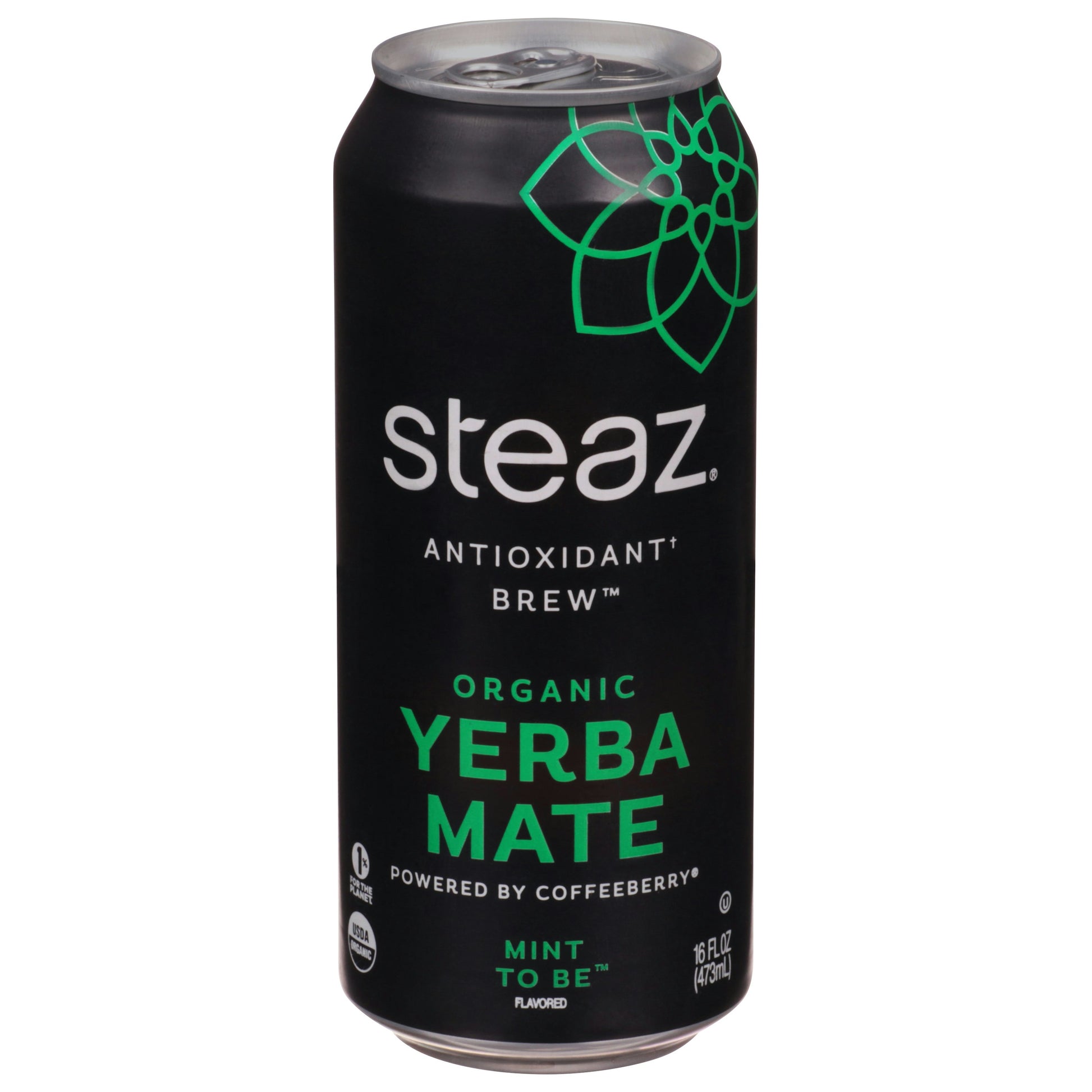 Steaz Yerba Mate Mint To Be 16 FO (Pack of 12)