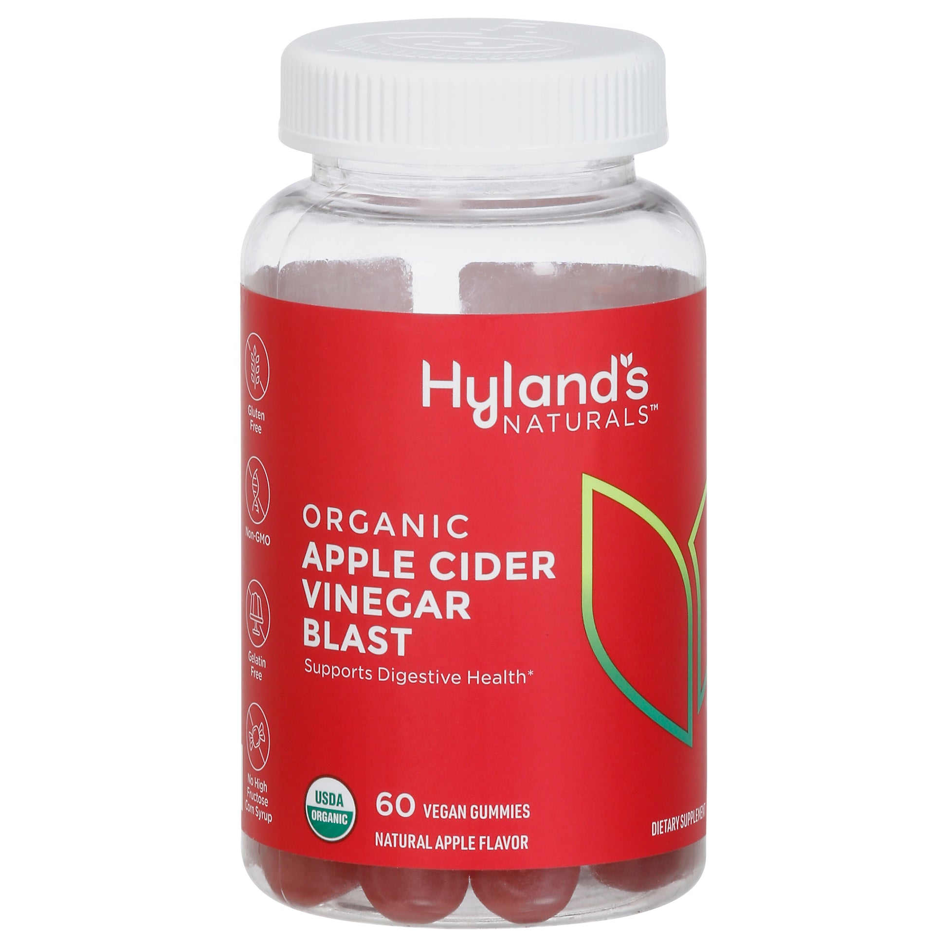 Hyland Apple Cider Vinegar Gummy 60 Pc 60 Pc Pack of 1