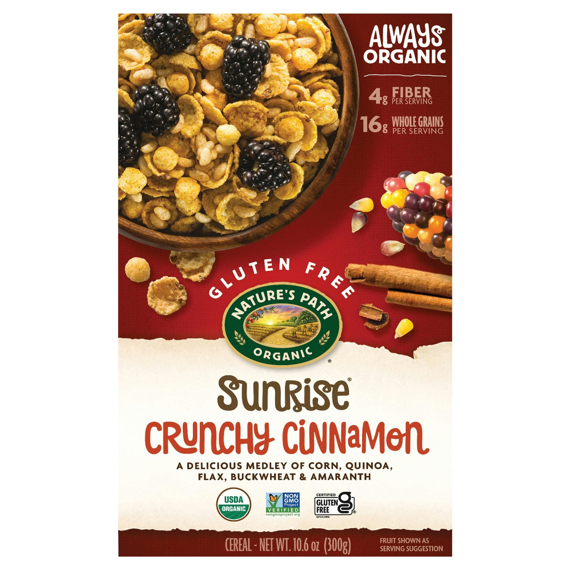 Natures Path Cereal Gluten Free Cinnamon Organic 10.6 Oz (Pack of 12)