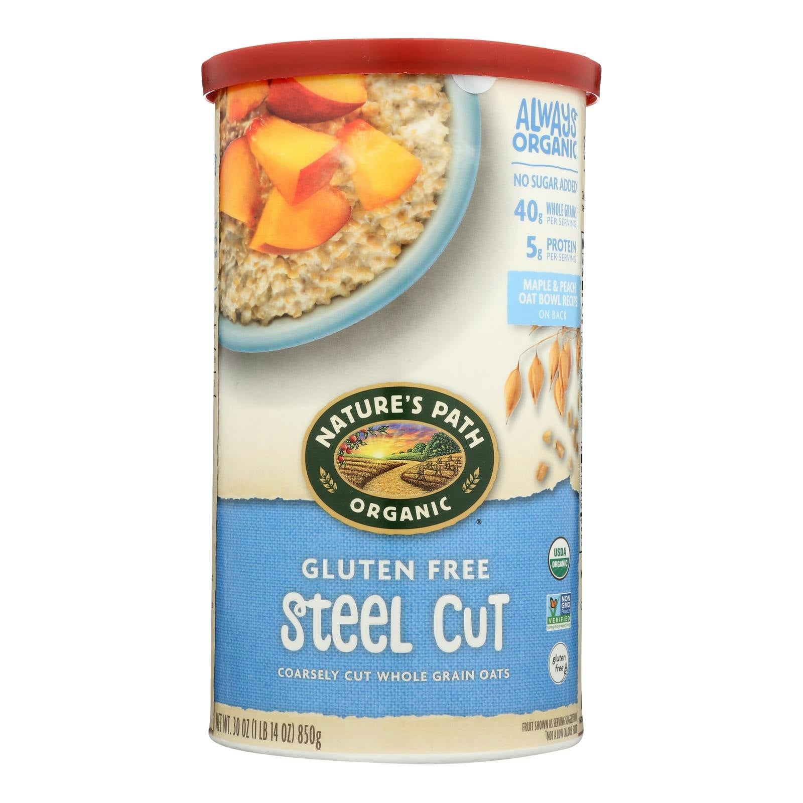 Nature's Path Organic Steel Cut Gluten Free Oats 30 oz (Pack of 6)