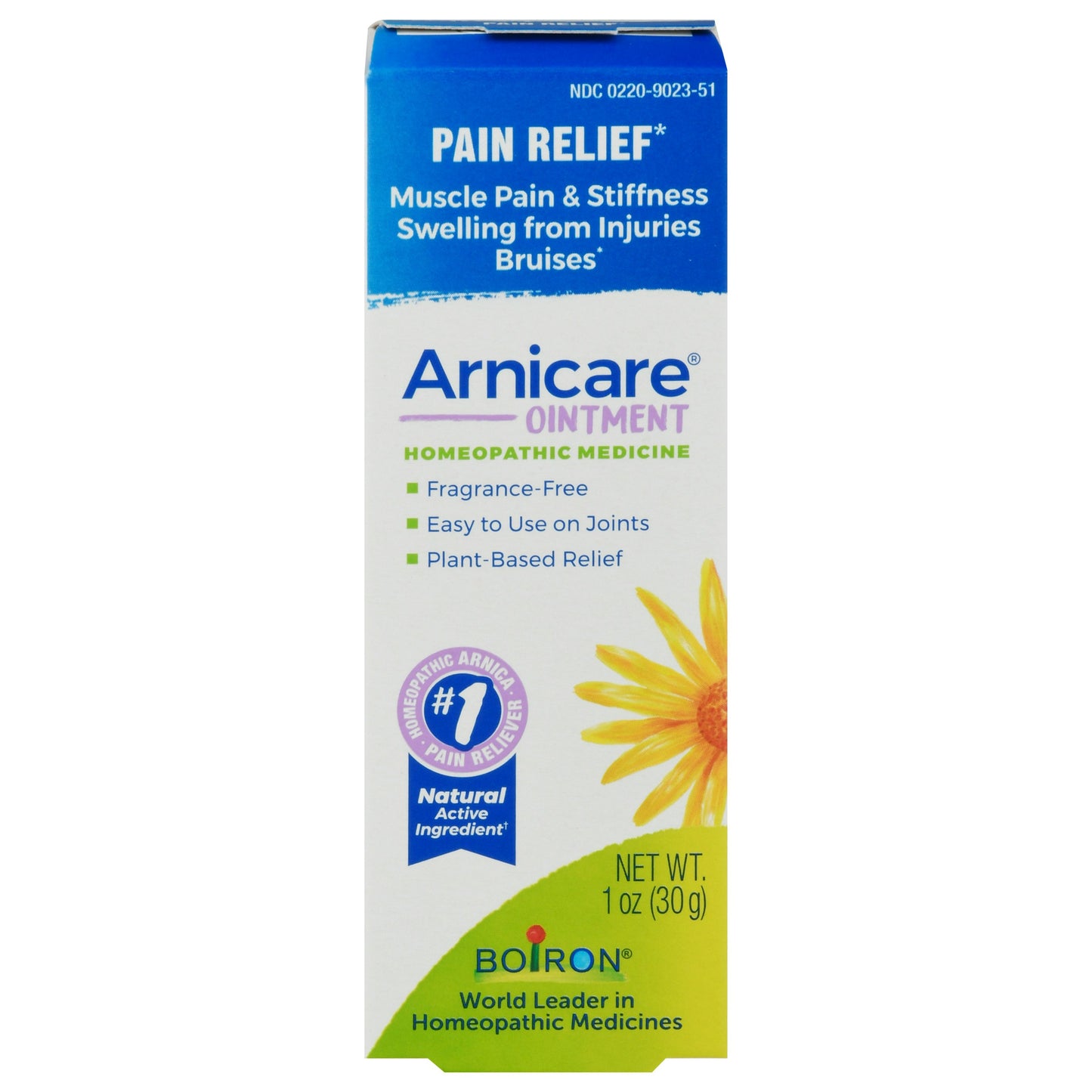 Boiron Arnica Ointment 1 oz (Pack of 6)