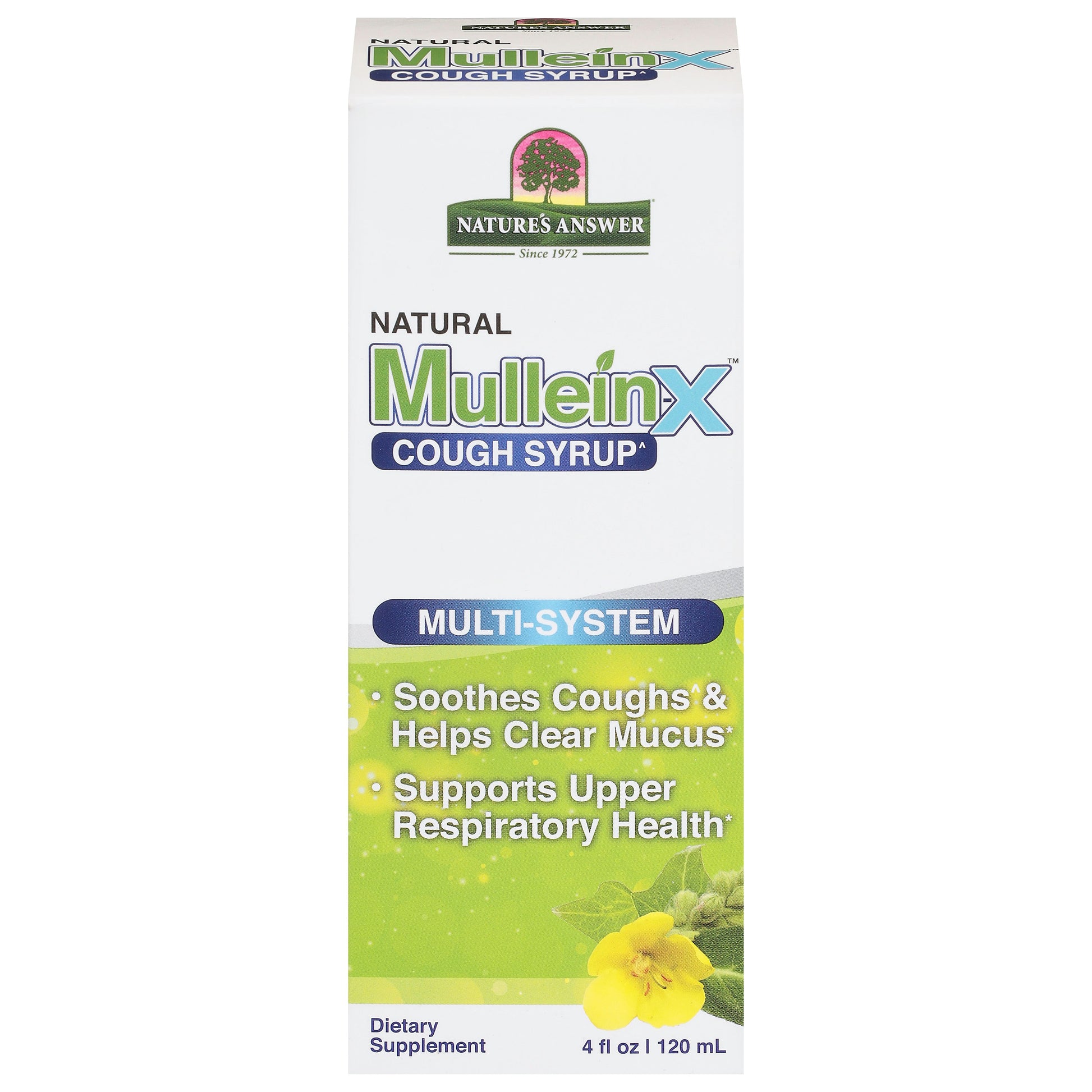 Natures Answer Mulleinx Multi Cough 4 Fl oz