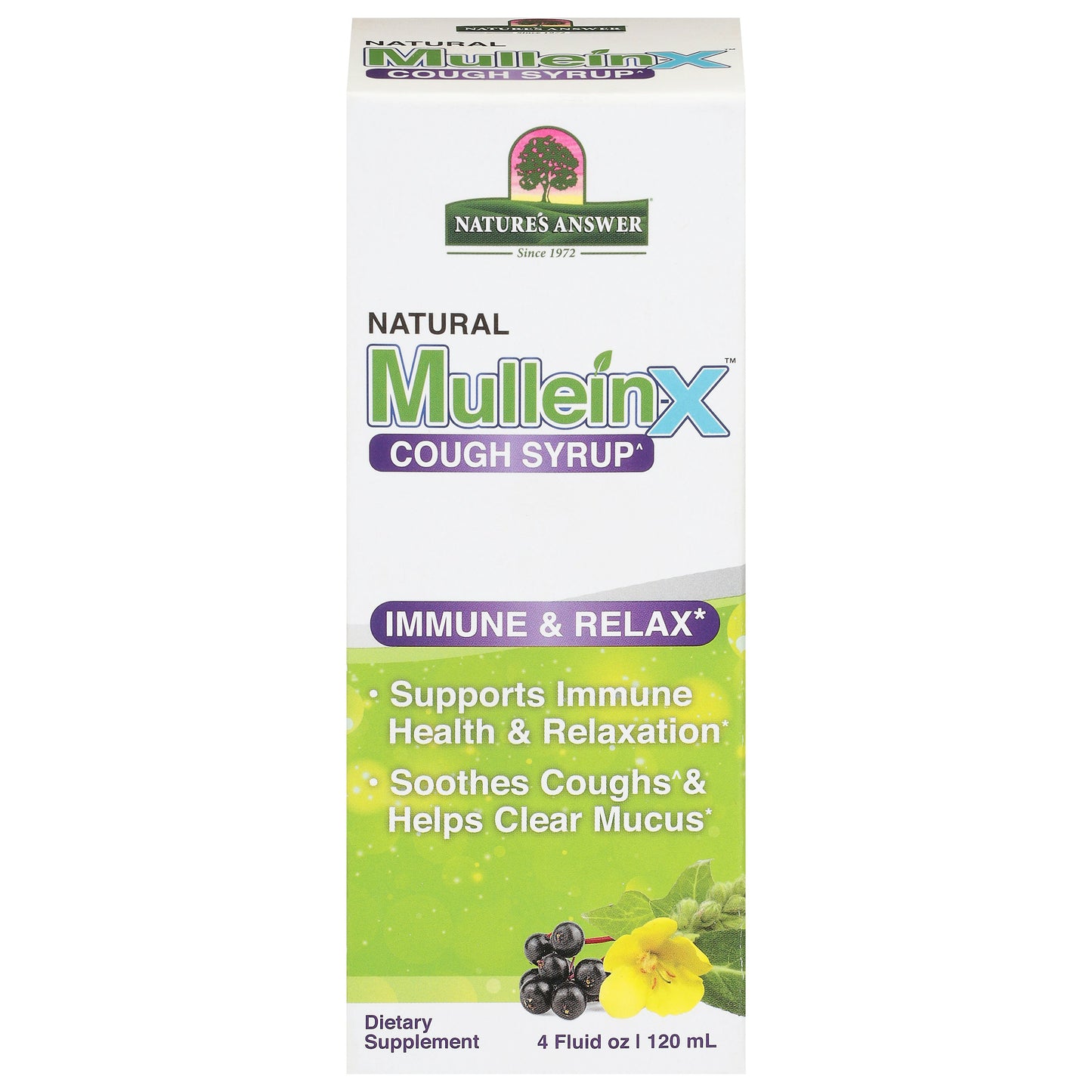 Natures Answer Immune Mulleinx Cough 4 Fl oz